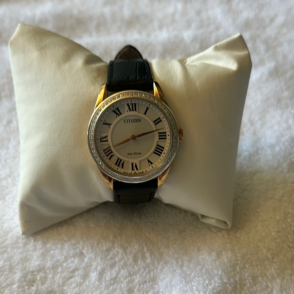 Citizen women’s Black and Gold Eco-Drive Watch